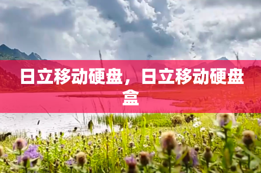 日立移动硬盘，日立移动硬盘盒