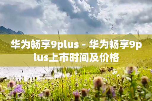 华为畅享9plus - 华为畅享9plus上市时间及价格