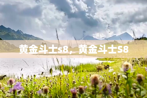 黄金斗士s8，黄金斗士S8