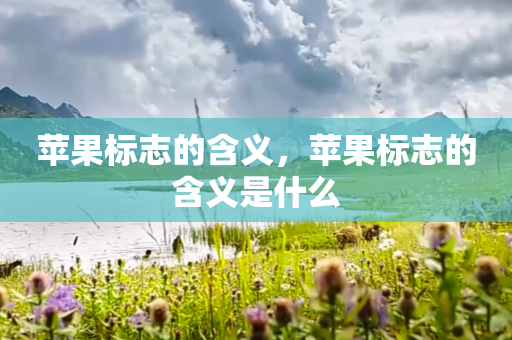 苹果标志的含义，苹果标志的含义是什么