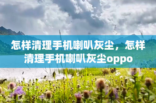 怎样清理手机喇叭灰尘，怎样清理手机喇叭灰尘oppo
