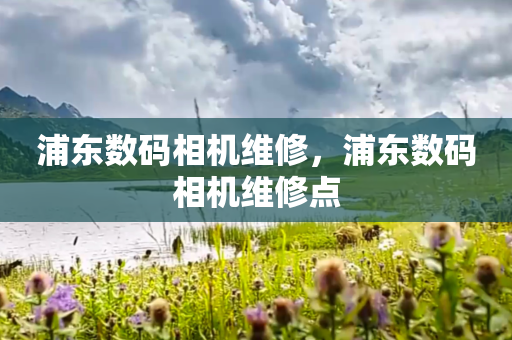 浦东数码相机维修，浦东数码相机维修点