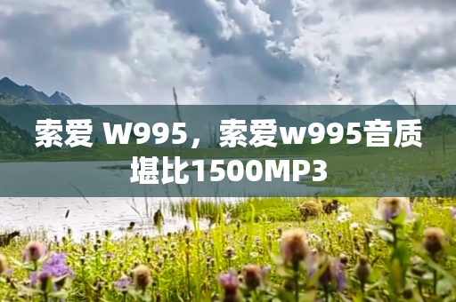 索爱 W995，索爱w995音质堪比1500MP3