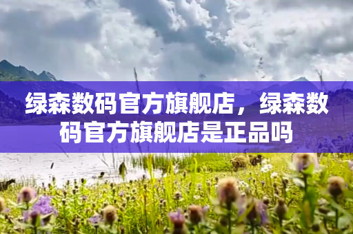 绿森数码官方旗舰店，绿森数码官方旗舰店是正品吗