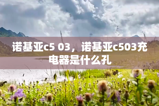诺基亚c5 03，诺基亚c503充电器是什么孔