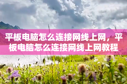 平板电脑怎么连接网线上网，平板电脑怎么连接网线上网教程