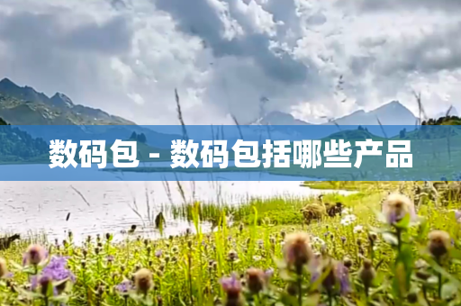 数码包 - 数码包括哪些产品