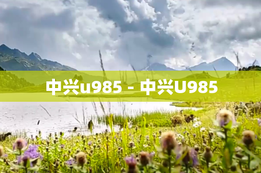 中兴u985 - 中兴U985