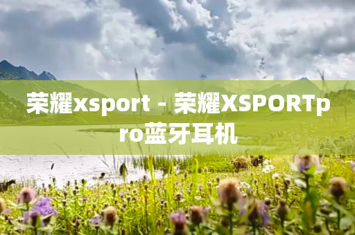 荣耀xsport - 荣耀XSPORTpro蓝牙耳机
