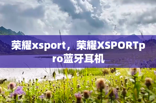 荣耀xsport，荣耀XSPORTpro蓝牙耳机