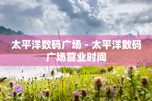 太平洋数码广场 - 太平洋数码广场营业时间