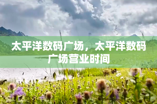 太平洋数码广场，太平洋数码广场营业时间