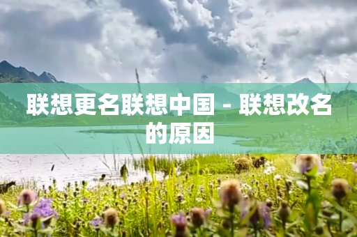 联想更名联想中国 - 联想改名的原因