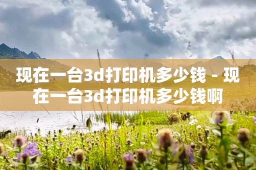 现在一台3d打印机多少钱 - 现在一台3d打印机多少钱啊