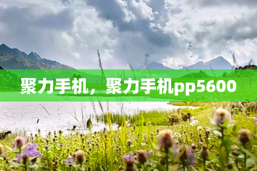 聚力手机,聚力手机pp5600