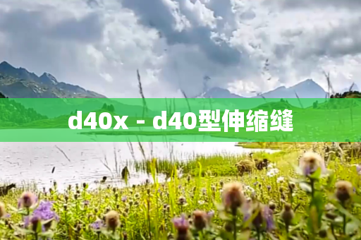 d40x - d40型伸缩缝