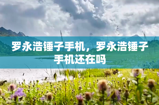 罗永浩锤子手机，罗永浩锤子手机还在吗