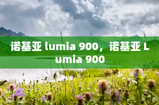 诺基亚 lumia 900，诺基亚 Lumia 900