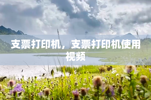 支票打印机，支票打印机使用视频