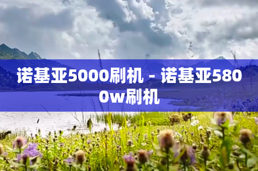 诺基亚5000刷机 - 诺基亚5800w刷机