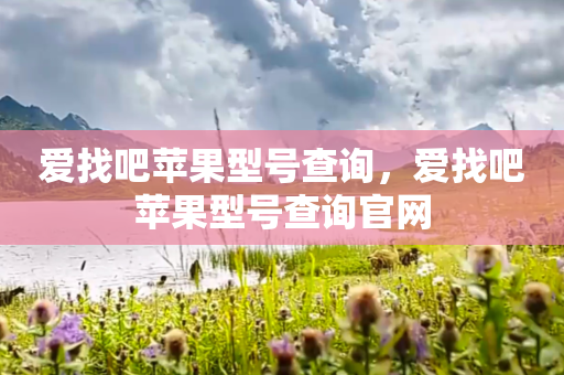 爱找吧苹果型号查询，爱找吧苹果型号查询官网