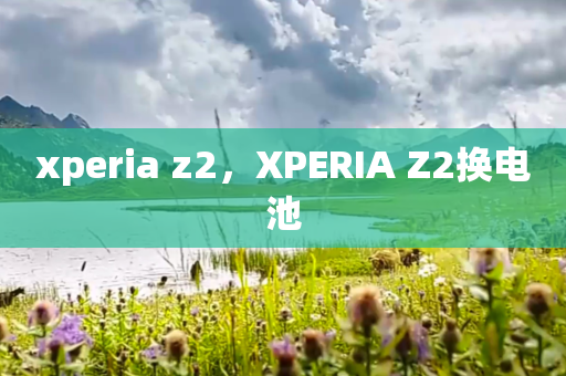 xperia z2，XPERIA Z2换电池