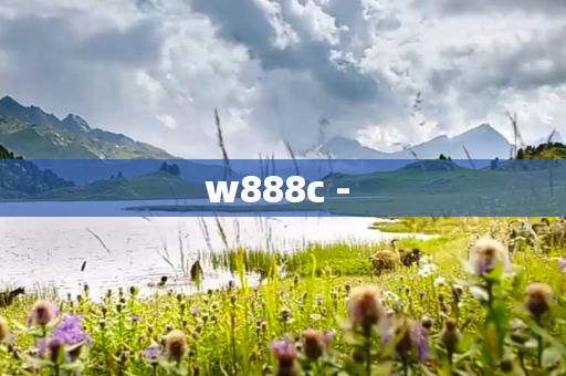 w888c - 