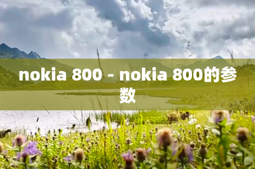 nokia 800 - nokia 800的参数