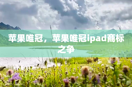 苹果唯冠，苹果唯冠ipad商标之争