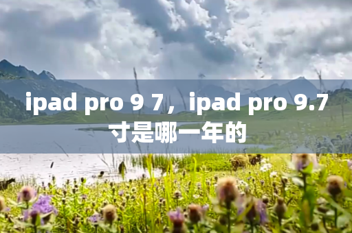 ipad pro 9 7，ipad pro 9.7寸是哪一年的