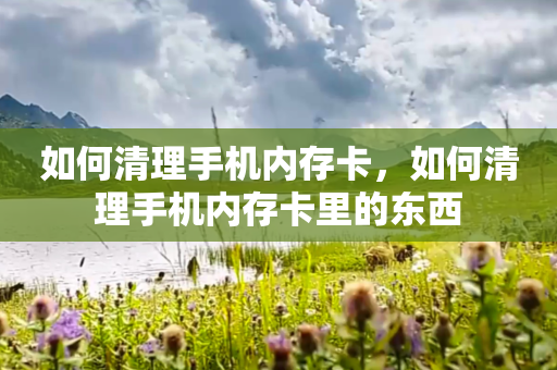如何清理手机内存卡，如何清理手机内存卡里的东西