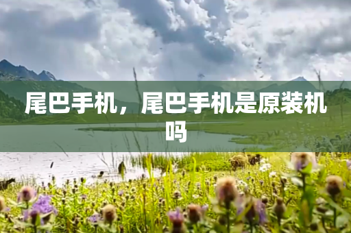 尾巴手机，尾巴手机是原装机吗