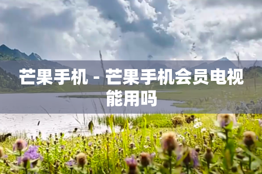 芒果手机 - 芒果手机会员电视能用吗