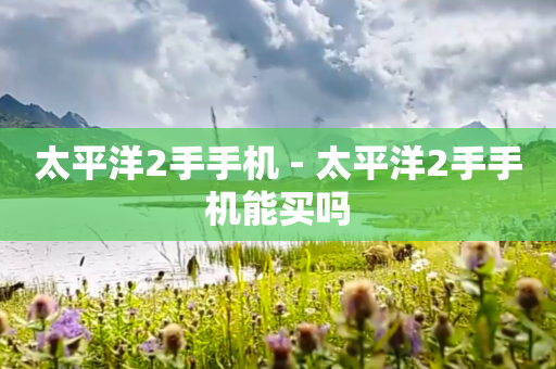 太平洋2手手机 - 太平洋2手手机能买吗