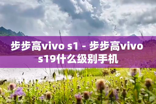步步高vivo s1 - 步步高vivo s19什么级别手机