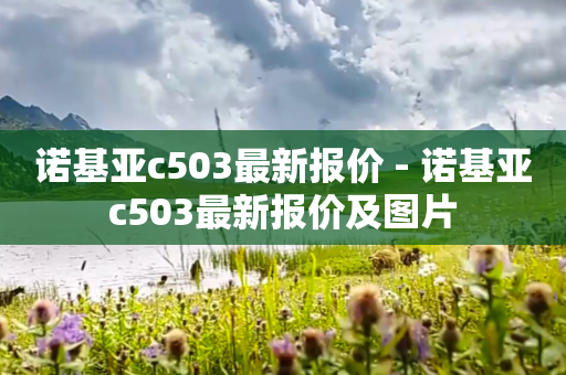 诺基亚c503最新报价 - 诺基亚c503最新报价及图片
