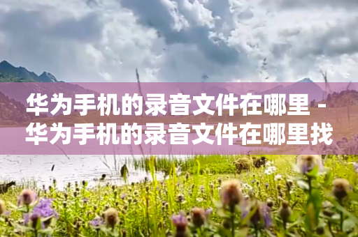 华为手机的录音文件在哪里 - 华为手机的录音文件在哪里找