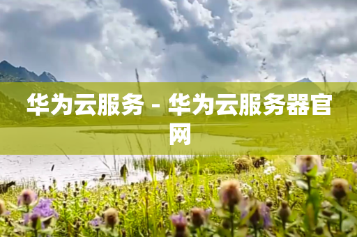 华为云服务 - 华为云服务器官网