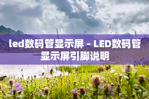 led数码管显示屏 - LED数码管显示屏引脚说明