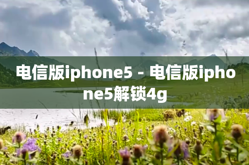 电信版iphone5 - 电信版iphone5解锁4g