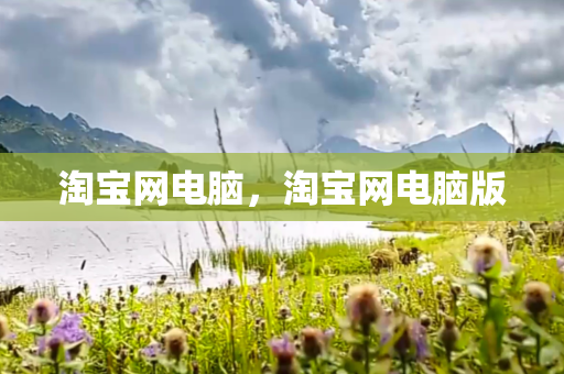 淘宝网电脑，淘宝网电脑版