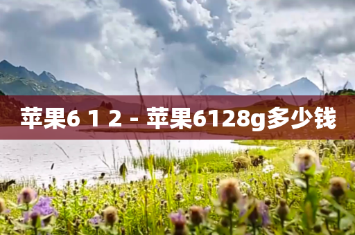 苹果6 1 2 - 苹果6128g多少钱