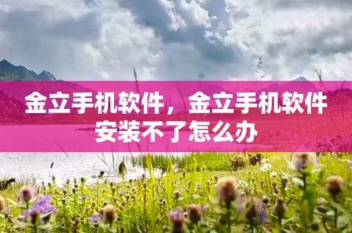 金立手机软件，金立手机软件安装不了怎么办