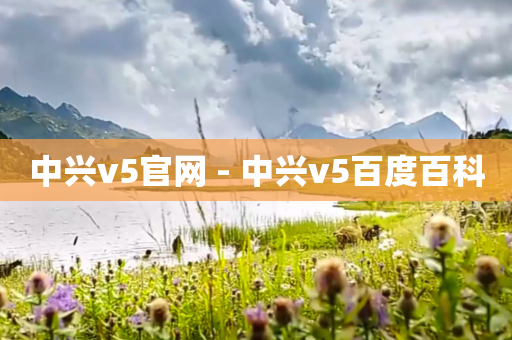 中兴v5官网 - 中兴v5百度百科