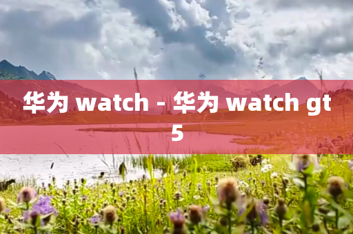 华为 watch - 华为 watch gt5