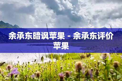 余承东暗讽苹果 - 余承东评价苹果