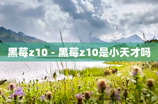 黑莓z10 - 黑莓z10是小天才吗