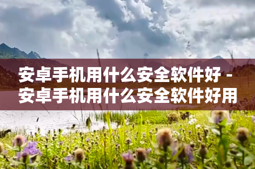 安卓手机用什么安全软件好 - 安卓手机用什么安全软件好用