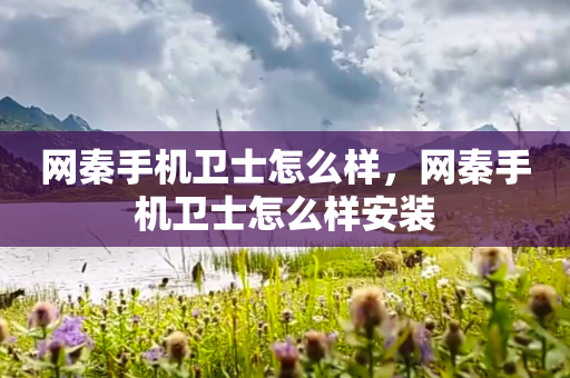 网秦手机卫士怎么样，网秦手机卫士怎么样安装