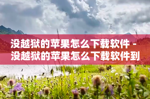 没越狱的苹果怎么下载软件 - 没越狱的苹果怎么下载软件到桌面